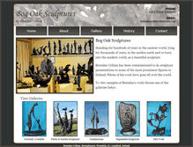 Tablet Screenshot of bogoakart.ie